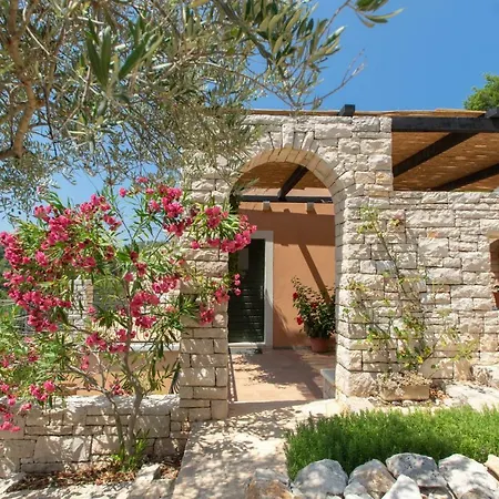 Perla Willa Vela Luka